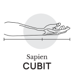Sapien Cubit-01